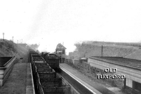 Tuxford Central Station looking West. Goods train passing - 29/01/1955